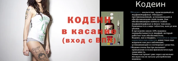 ГАЛЛЮЦИНОГЕННЫЕ ГРИБЫ Заводоуковск