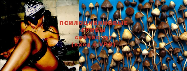 ГАЛЛЮЦИНОГЕННЫЕ ГРИБЫ Заводоуковск