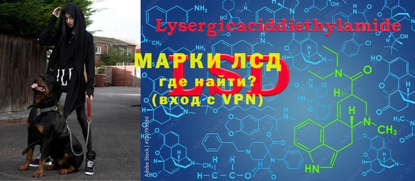 ГАЛЛЮЦИНОГЕННЫЕ ГРИБЫ Заводоуковск