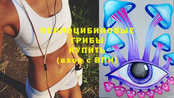 ГАЛЛЮЦИНОГЕННЫЕ ГРИБЫ Заводоуковск