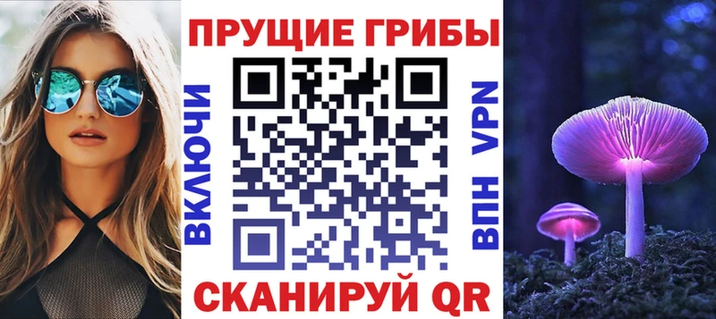 Псилоцибиновые грибы мицелий  Купить  Коряжма 